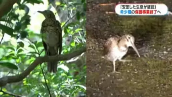 国内初　希少種の保護増殖事業完了の見通し　奄美市で検討会