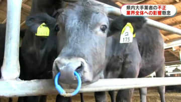 鹿児島の肉用牛生産で2位　水迫畜産の不正表示問題で畜産農家「他の農家も迷惑」