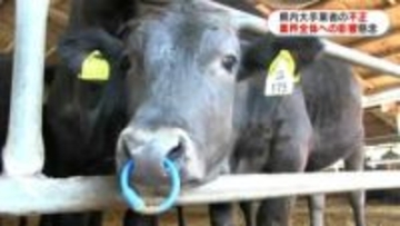 鹿児島の肉用牛生産で2位　水迫畜産の不正表示問題で畜産農家「他の農家も迷惑」