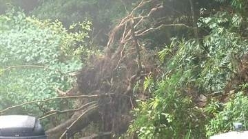 大雨の影響か　出水市の国道でのり面崩れる　一方、鹿児島市では道路が陥没