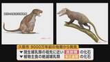 「久慈市で恐竜時代の哺乳類化石発見　新種の可能性　岩手県」の画像1