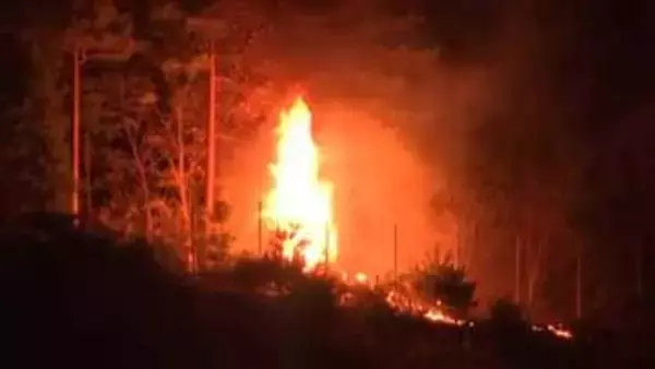 焼失面積が1618haに拡大　岩手・大槌山林火災　鎮圧のめど立たず