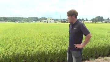 概算金引き下げにコメ農家「落胆と危機感」　去年比1万円以上減　岩手県
