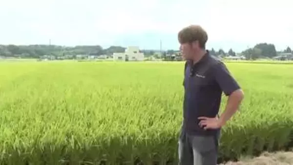 概算金引き下げにコメ農家「落胆と危機感」　去年比1万円以上減　岩手県