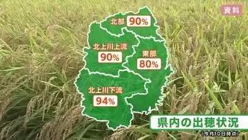 岩手県内の水稲92％で出穂　県が高温への対応呼びかけ