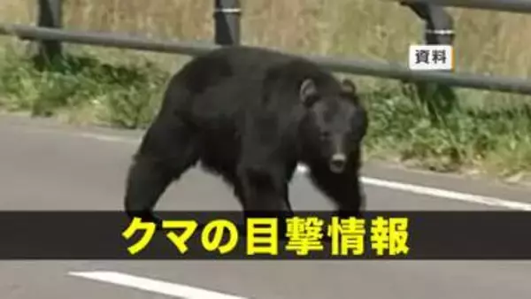 【クマ目撃】 久慈市長内町でクマ1頭目撃　岩手県