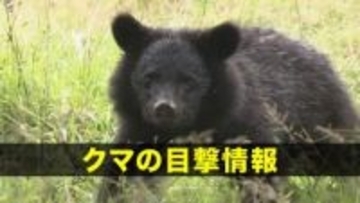 【クマ目撃】盛岡市西松園　成獣のクマ1頭を目撃　岩手県