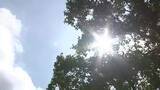 「岩泉町で35.2℃　28地点で真夏日　万全な熱中症対策を　岩手県（7月15日午前11時20分時点）」の画像1