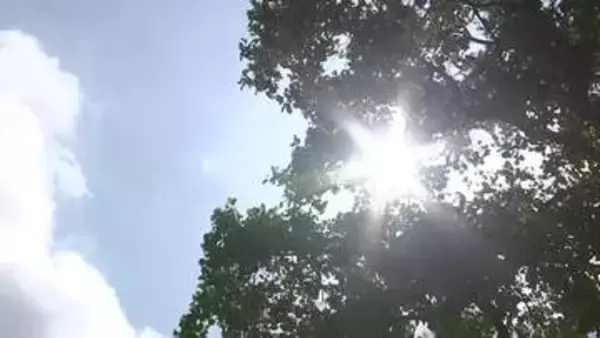 岩泉町で35.2℃　28地点で真夏日　万全な熱中症対策を　岩手県（7月15日午前11時20分時点）