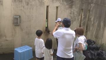 お盆イベントでＺＯＯＭＯにぎわう　親子がゾウのエサやり体験　岩手県盛岡市