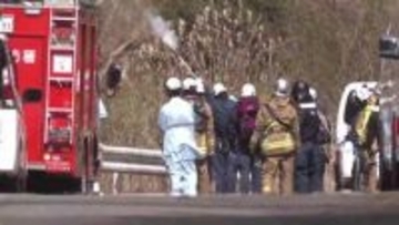 クマに襲われ警察官がけが…「春のクマ」岩手県内で出没相次ぐ　専門家に聞く傾向と対策