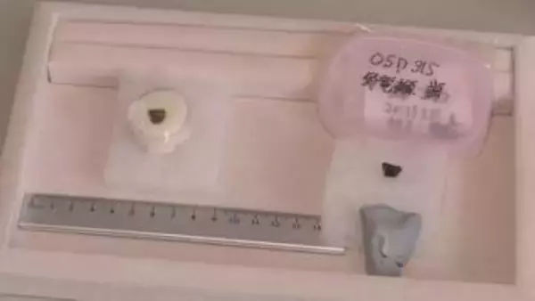 恐竜の歯の化石を新たに発見「角竜類」は東日本初　約9000万年前の地層　岩手県久慈市