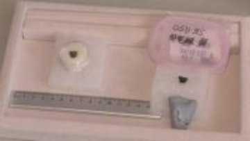 恐竜の歯の化石を新たに発見「角竜類」は東日本初　約9000万年前の地層　岩手県久慈市