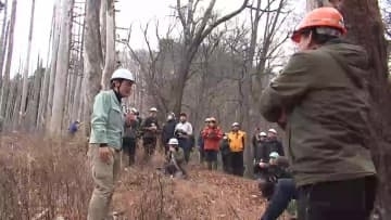 山林火災の被害木「早期に伐採・利用を」　専門家が劣化のリスクを指摘　岩手県大船渡市