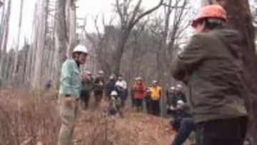 山林火災の被害木「早期に伐採・利用を」　専門家が劣化のリスクを指摘　岩手県大船渡市