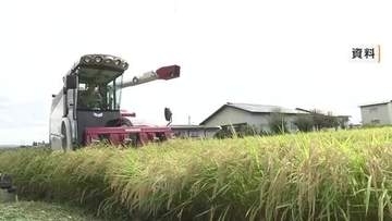 2025年を「やや下回る」見込み　岩手県内の2026年産のコメ 作柄概況