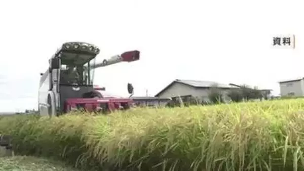 2025年を「やや下回る」見込み　岩手県内の2026年産のコメ 作柄概況