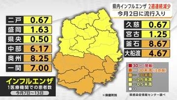 盛岡市はインフルエンザ予防接種を前倒しへ　岩手県内の新規患者数1医療機関あたり3.78人で2週連続減少