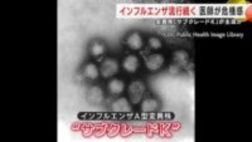 医師が危機感　インフルエンザ流行続く　変異株「サブクレードＫ」が主流か　岩手県