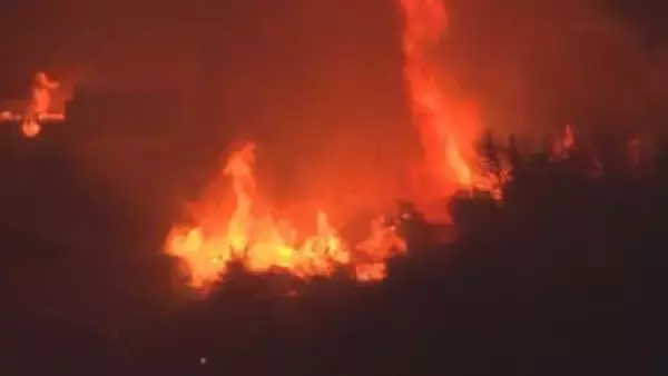 「心が折れそう…」平成以降最大の岩手・大船渡山林火災から10カ月　被災者の55世帯が未だ仮の住まい　森林所有者の4割が「復旧希望せず」の現実