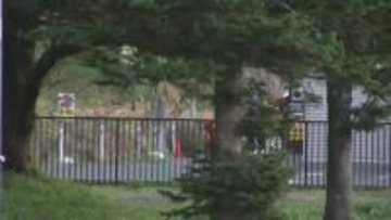 木の上にクマ、高速道付近に出没　緊急銃猟に備えるも日没で取りやめ　釜石道一時通行止め　岩手県