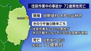伐採作業中の事故か　72歳男性死亡　岩手・田野畑村の山林