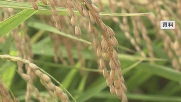 ひとめぼれ1万7200円で2024年と同水準に　ＪＡ全農いわてが「概算金」決定　岩手県