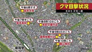 クマの出没相次ぐ盛岡市　中心部や住宅街で徘徊か「怖い」市民から不安の声　岩手県