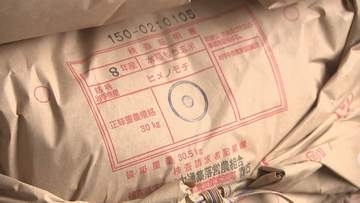 2026年初のもち米検査で全て一等米の最高評価　生産盛んな紫波町で実施　岩手県