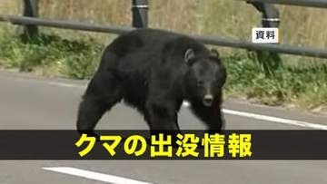 【クマ出没】住田町世田米の国道107号線付近の木にクマ1頭が居座る　岩手県