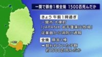 豚舎全焼で子豚1500匹死んだか　暖房機を使用　岩手県一関市