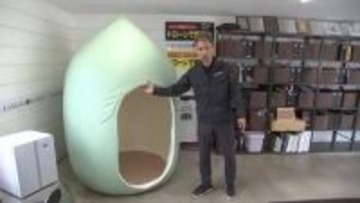 避難生活の質向上に新たなテント製品販売　花巻市の企業　数時間で設置可能　岩手県