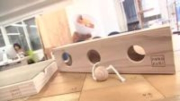 被災木活用したネコのおもちゃを発売　大船渡山林火災で樹皮が焼けたスギ製材　岩手県