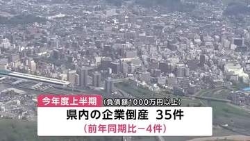 2026年度の上半期企業倒産35件 負債総額は約55億円　令和2番目の規模　岩手県