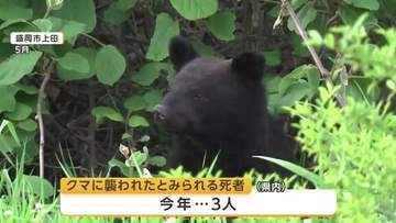 クマ被害防止へ県が研修会開催　自治体・農業・観光関係者ら参加　岩手県