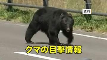 【クマ目撃】盛岡大学附属高校の北側付近でクマ1頭目撃　岩手県盛岡市