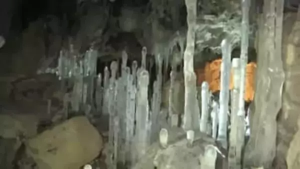 内間木洞「氷筍」本数は昨季の倍以上　地面からタケノコのように伸びる氷のアート　岩手県久慈市