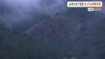 岩手・大槌町山林火災　発生（4月22日）から7日目　港町の防潮堤から中継