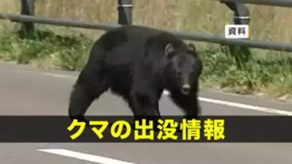 【クマ出没】宮古市の入浴施設敷地内に出没した子グマ1頭捕獲　岩手県