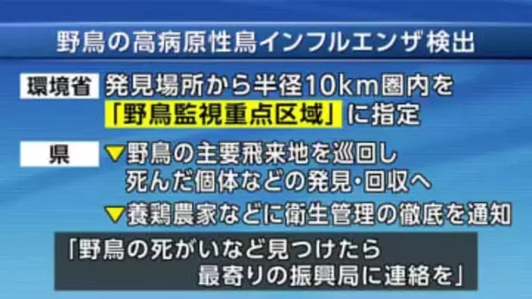 野鳥から高病原性鳥インフル検出　紫波町で発見　野鳥の感染は今季初　岩手県