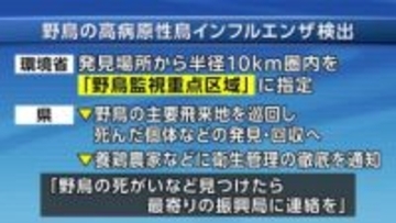 野鳥から高病原性鳥インフル検出　紫波町で発見　野鳥の感染は今季初　岩手県
