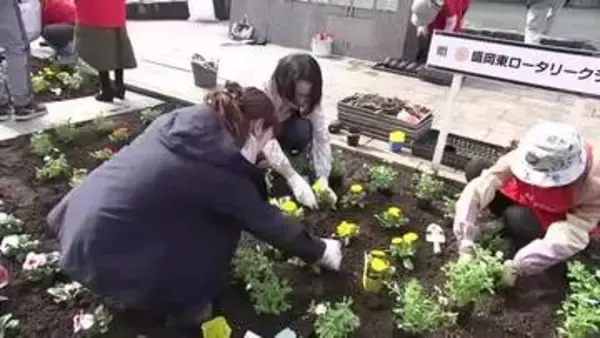 「盛岡市中心部で花壇に植栽　花で街に彩りを　岩手県」の画像