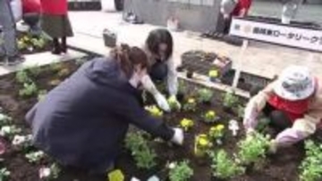 盛岡市中心部で花壇に植栽　花で街に彩りを　岩手県