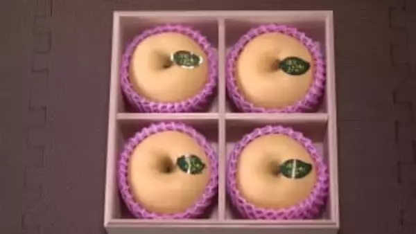 糖度15度以上・蜜入り20％以上をクリアしたリンゴ「滝沢はるか」　出荷に向け選別作業　岩手県滝沢市