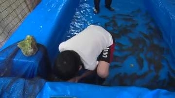 滝観洞で初の「清流まつり」目玉はイワナ　つかみ取りも楽しめる　岩手・住田町