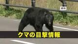 「【クマ目撃】盛岡市の岩手中・高等学校や岩手大学キャンパス内でクマ1頭出没　岩手県」の画像1