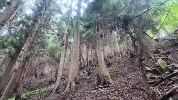 焼失面積1620ヘクタール、山林所有者が抱える複雑な思いと森林再生　大槌町の山林火災発生から半年　岩手県