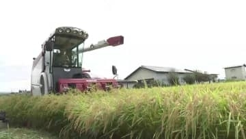 2026年の岩手県のコメ生産目安 約2万ｔ増　初の2年連続増加