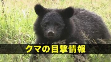 【クマ目撃】花巻市石鳥谷町　クマが徘徊しているのを目撃　岩手県