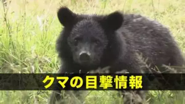 【クマ目撃】花巻市石鳥谷町　クマが徘徊しているのを目撃　岩手県